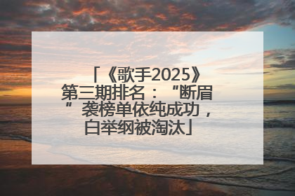 《歌手2025》第三期排名：“断眉”袭榜单依纯成功，白举纲被淘汰