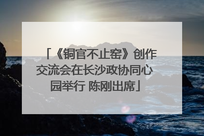 《铜官不止窑》创作交流会在长沙政协同心园举行 陈刚出席