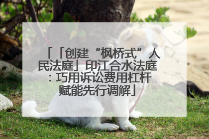 「创建“枫桥式”人民法庭」印江合水法庭：巧用诉讼费用杠杆 赋能先行调解
