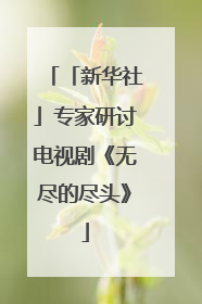 「新华社」专家研讨电视剧《无尽的尽头》