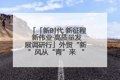 「新时代 新征程 新伟业·高质量发展调研行」外贸“新”风从“青”来 “双向奔赴”启新程