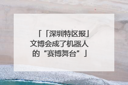 「深圳特区报」文博会成了机器人的“赛博舞台”