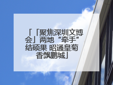 「聚焦深圳文博会」两地“牵手”结硕果 昭通皇菊香飘鹏城