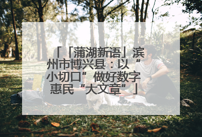 「蒲湖新语」滨州市博兴县：以“小切口”做好数字惠民“大文章”