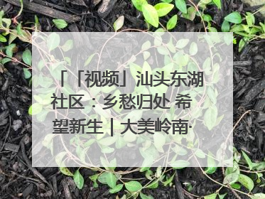 「视频」汕头东湖社区：乡愁归处 希望新生｜大美岭南·百村焕新记