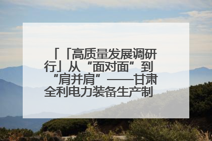 「高质量发展调研行」从“面对面”到“肩并肩”——甘肃全利电力装备生产制造项目一线见闻