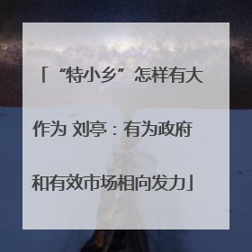 “特小乡”怎样有大作为 刘亭：有为政府和有效市场相向发力