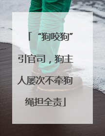 “狗咬狗”引官司，狗主人屡次不牵狗绳担全责