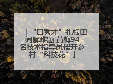 “田秀才”扎根田间解难题 黄梅94名技术指导员催开乡村“科技花”