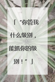 “你管我什么级别，能抓你的级别！”