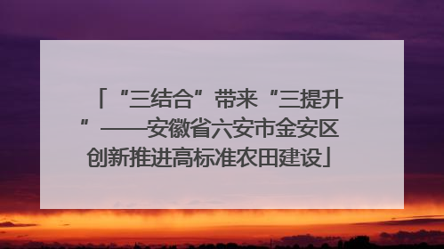 “三结合”带来“三提升”——安徽省六安市金安区创新推进高标准农田建设