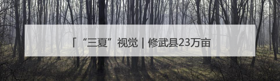 “三夏”视觉｜修武县23万亩小麦开镰 农机昼夜抢收抢种