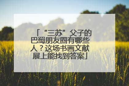 “三苏”父子的巴蜀朋友圈有哪些人？这场书画文献展上能找到答案