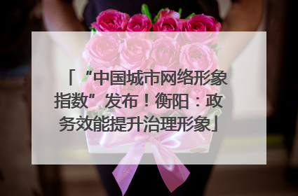 “中国城市网络形象指数”发布！衡阳：政务效能提升治理形象