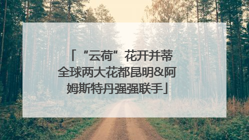 “云荷”花开并蒂 全球两大花都昆明&阿姆斯特丹强强联手