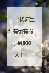 “优师生”有编有岗，招800人！