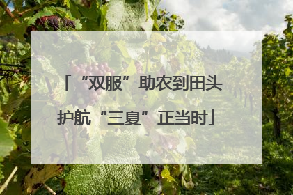 “双服”助农到田头 护航“三夏”正当时