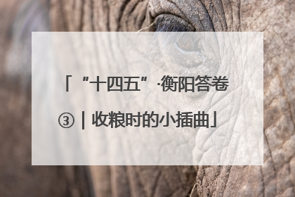 “十四五”·衡阳答卷③｜收粮时的小插曲