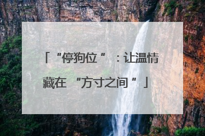 “停狗位 ”：让温情藏在 “方寸之间 ”