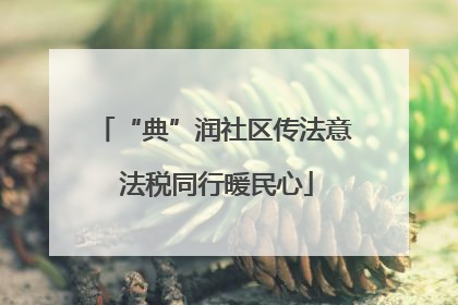 “典”润社区传法意 法税同行暖民心