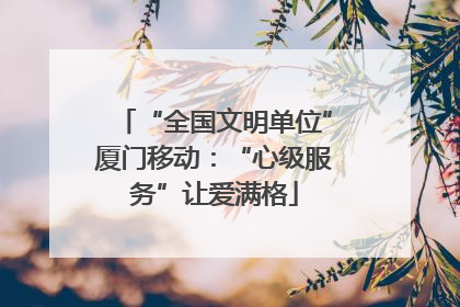“全国文明单位”厦门移动：“心级服务”让爱满格