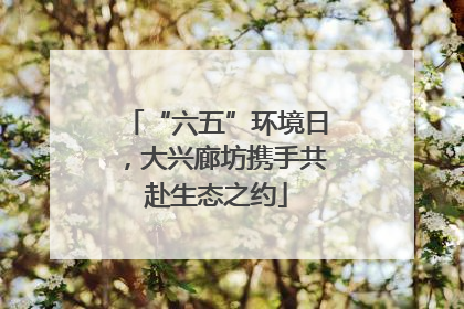 “六五”环境日，大兴廊坊携手共赴生态之约