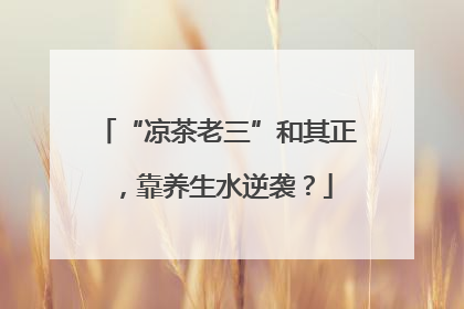 “凉茶老三”和其正，靠养生水逆袭？