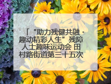 “助力残健共融・趣动精彩人生”残障人士趣味运动会 田村路街道第三十五次全国助残日主题活动圆满举办