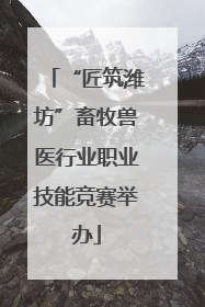 “匠筑潍坊”畜牧兽医行业职业技能竞赛举办