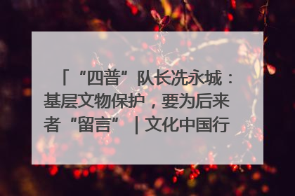 “四普”队长冼永城：基层文物保护，要为后来者“留言”｜文化中国行·我在广东找文物