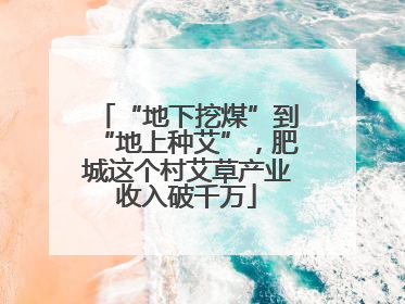 “地下挖煤”到“地上种艾”，肥城这个村艾草产业收入破千万