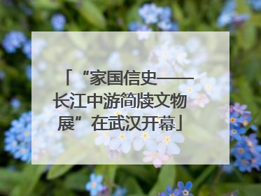 “家国信史——长江中游简牍文物展”在武汉开幕