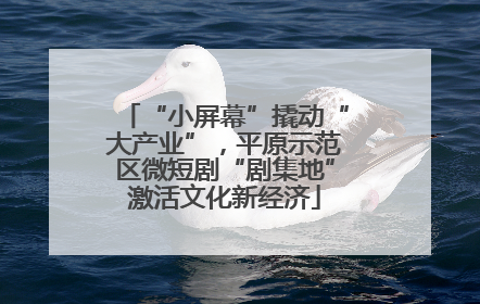 “小屏幕”撬动“大产业”，平原示范区微短剧“剧集地”激活文化新经济
