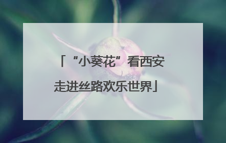 “小葵花”看西安走进丝路欢乐世界
