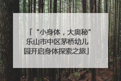 “小身体，大奥秘” 乐山市中区茅桥幼儿园开启身体探索之旅