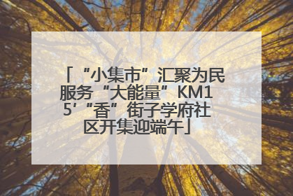 “小集市”汇聚为民服务“大能量”KM15′“香”街子学府社区开集迎端午