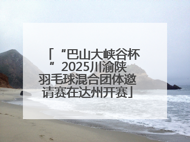 “巴山大峡谷杯”2025川渝陕羽毛球混合团体邀请赛在达州开赛