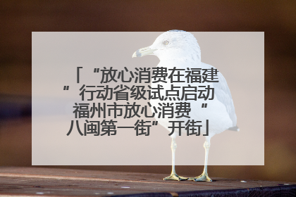 “放心消费在福建”行动省级试点启动 福州市放心消费“八闽第一街”开街