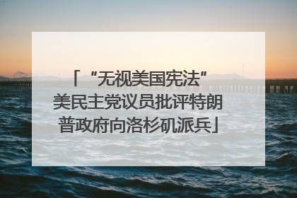 “无视美国宪法” 美民主党议员批评特朗普政府向洛杉矶派兵