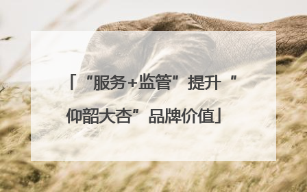 “服务+监管”提升“仰韶大杏”品牌价值