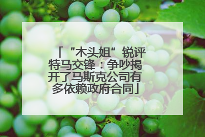 “木头姐”锐评特马交锋：争吵揭开了马斯克公司有多依赖政府合同
