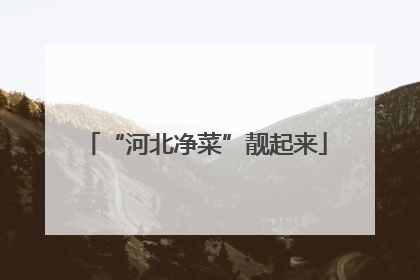 “河北净菜”靓起来