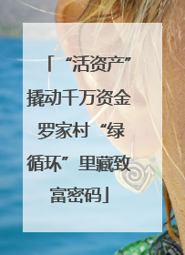 “活资产”撬动千万资金 罗家村“绿循环”里藏致富密码