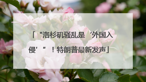 “洛杉矶骚乱是‘外国入侵’”！特朗普最新发声