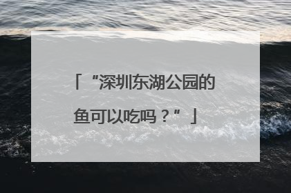 “深圳东湖公园的鱼可以吃吗？”