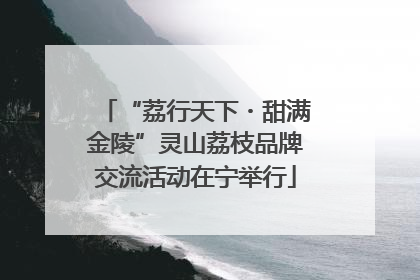“荔行天下・甜满金陵”灵山荔枝品牌交流活动在宁举行
