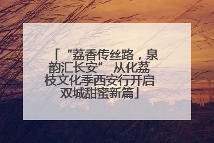 “荔香传丝路，泉韵汇长安” 从化荔枝文化季西安行开启双城甜蜜新篇