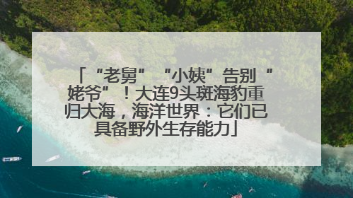 “老舅”“小姨”告别“姥爷”！大连9头斑海豹重归大海，海洋世界：它们已具备野外生存能力