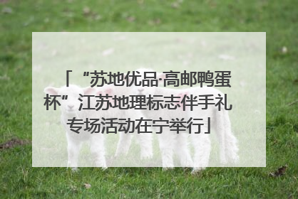 “苏地优品·高邮鸭蛋杯”江苏地理标志伴手礼专场活动在宁举行