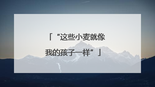 “这些小麦就像我的孩子一样”